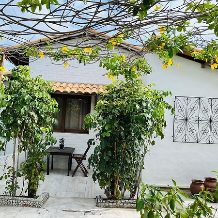 Casa Tua Pipa Apartment Praia de Pipa Luaran gambar