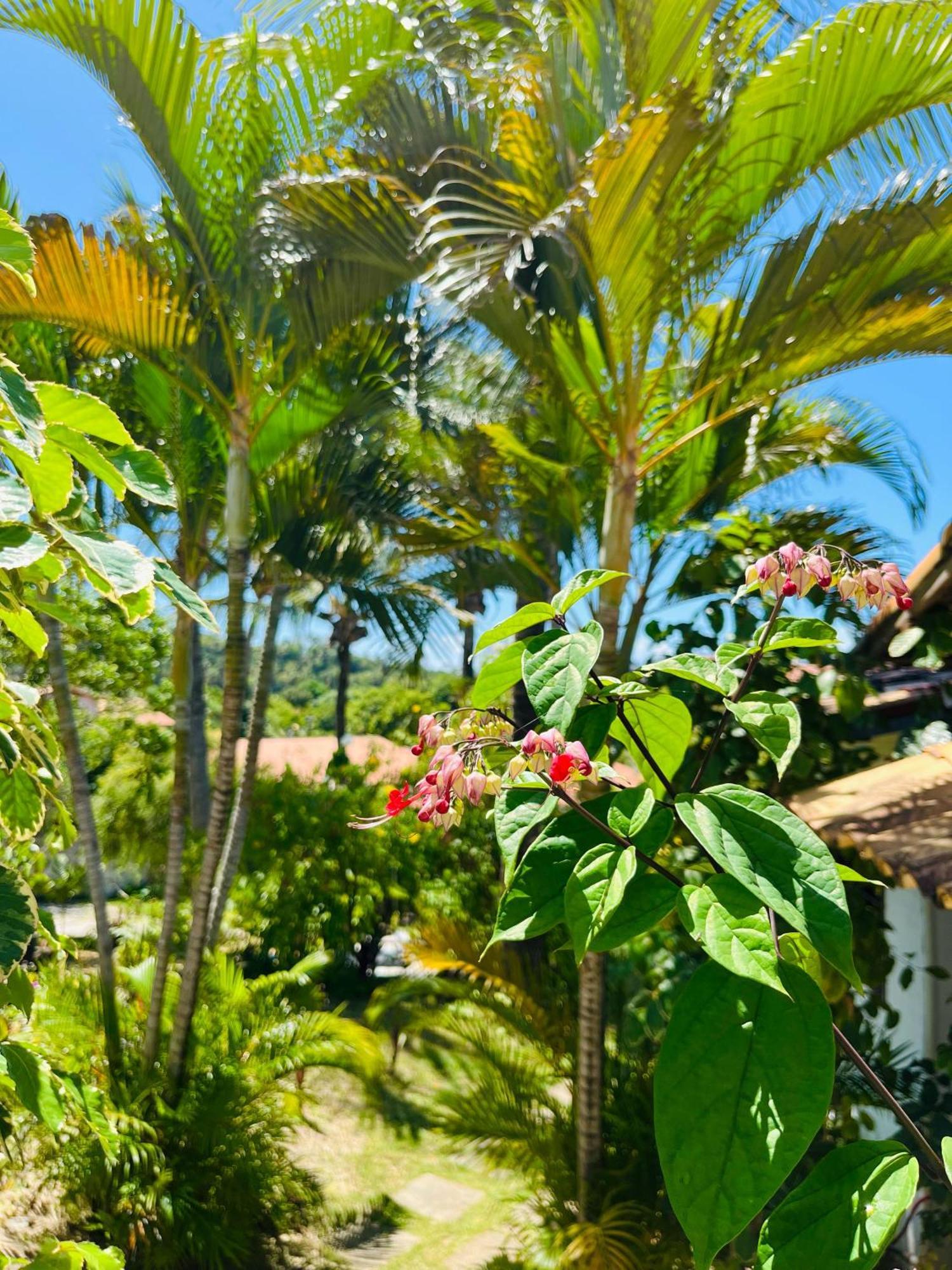 Casa Tua Pipa Apartment Praia de Pipa Luaran gambar