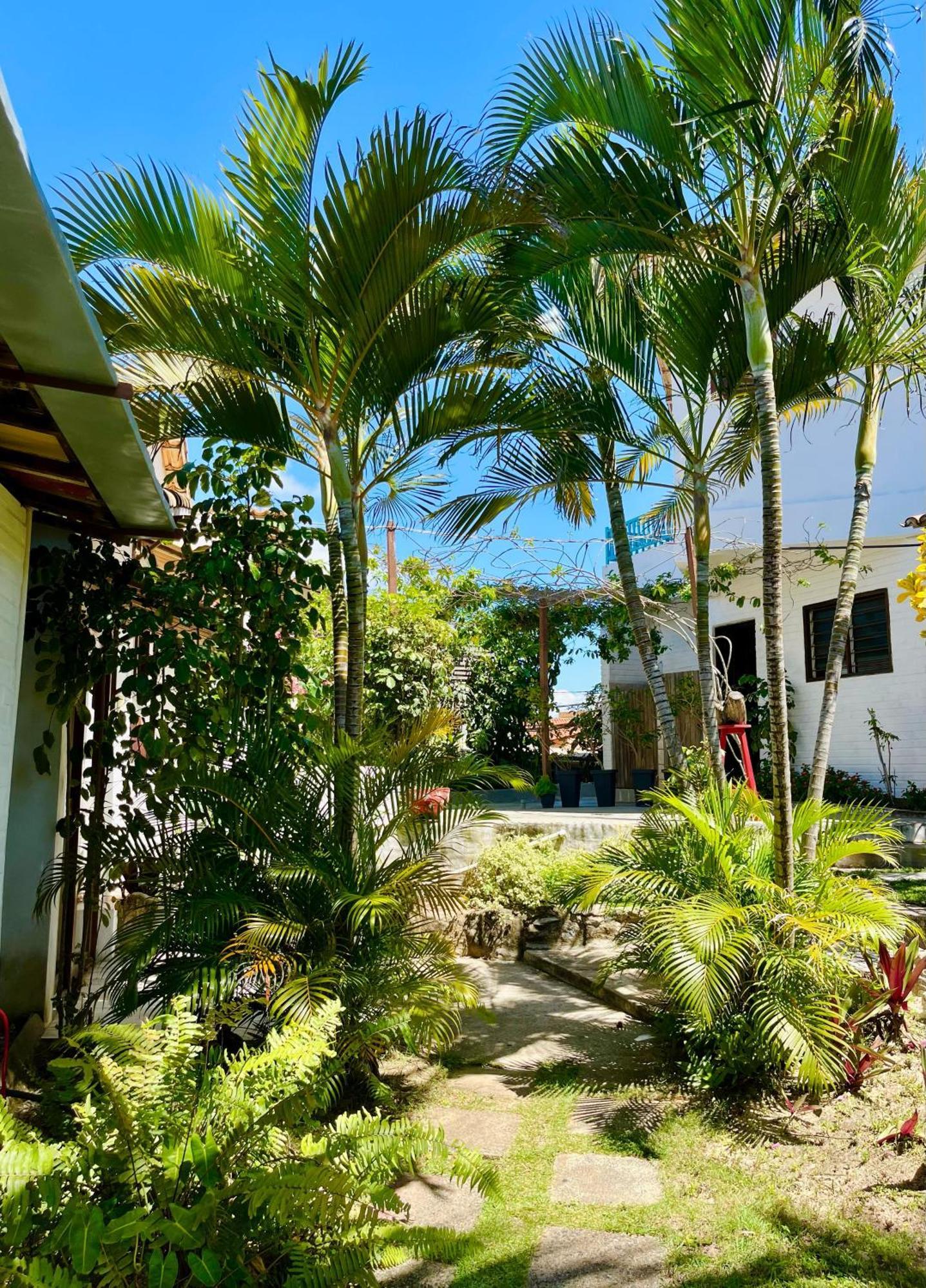 Casa Tua Pipa Apartment Praia de Pipa Luaran gambar